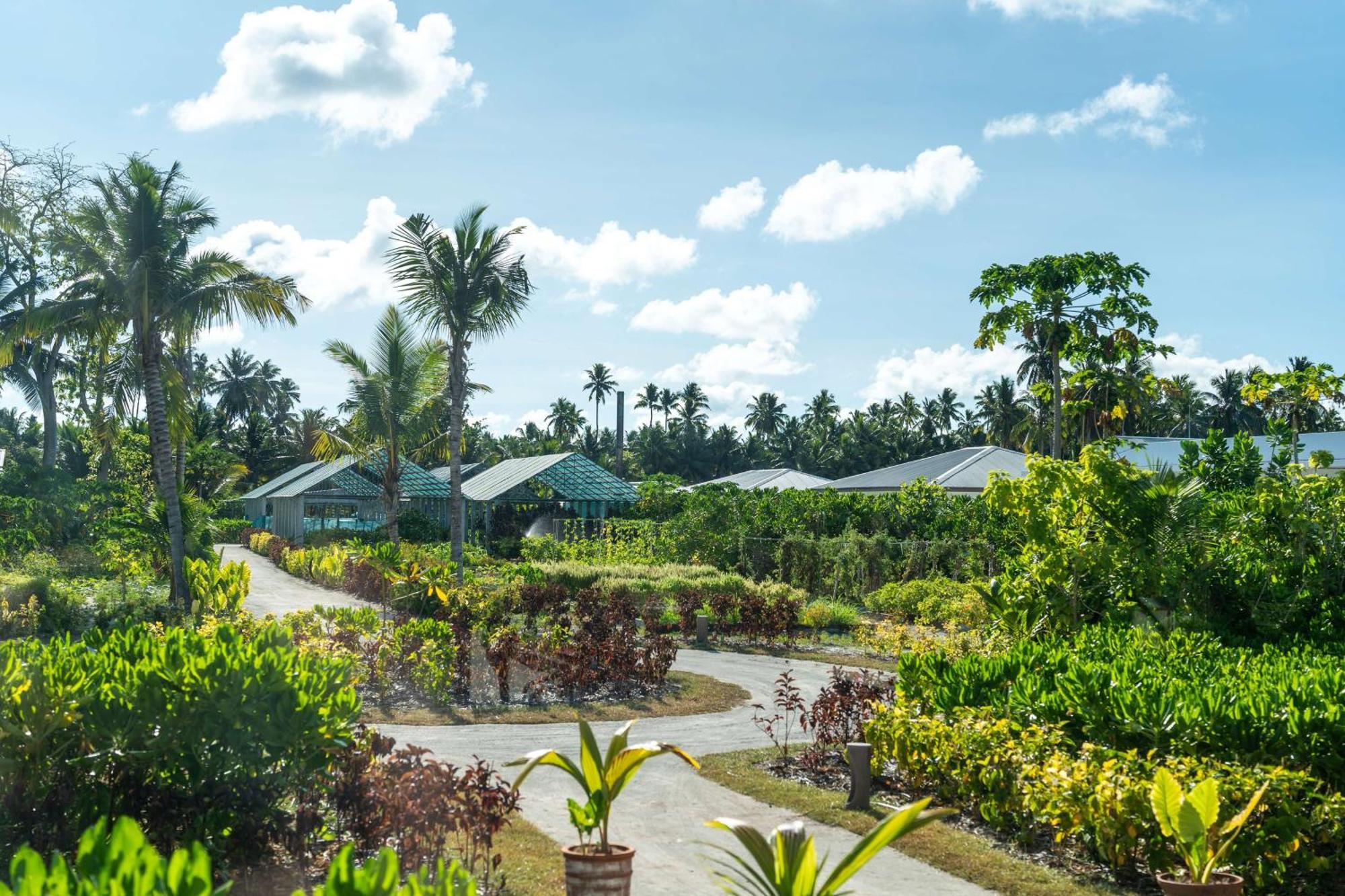 Waldorf Astoria Seychelles Platte Island Hotel Екстериор снимка
